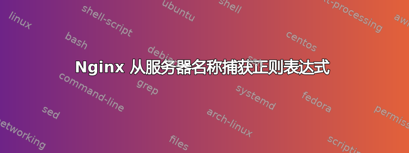 Nginx 从服务器名称捕获正则表达式