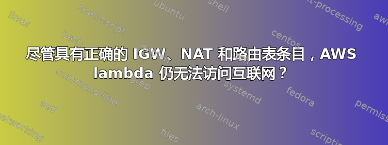 尽管具有正确的 IGW、NAT 和路由表条目，AWS lambda 仍无法访问互联网？