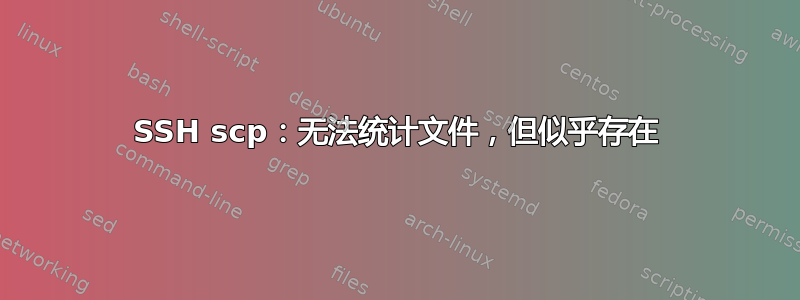 SSH scp：无法统计文件，但似乎存在