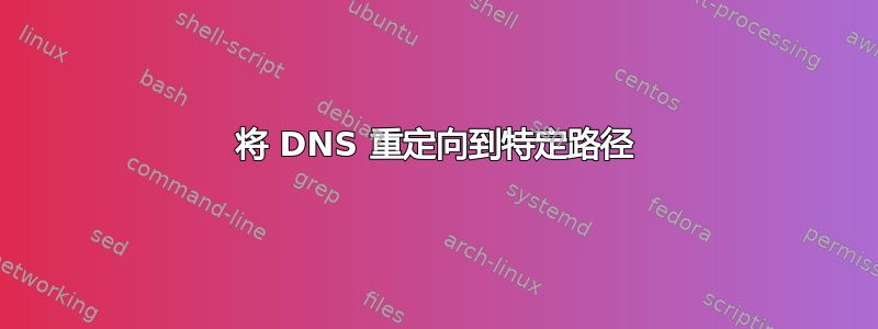 将 DNS 重定向到特定路径