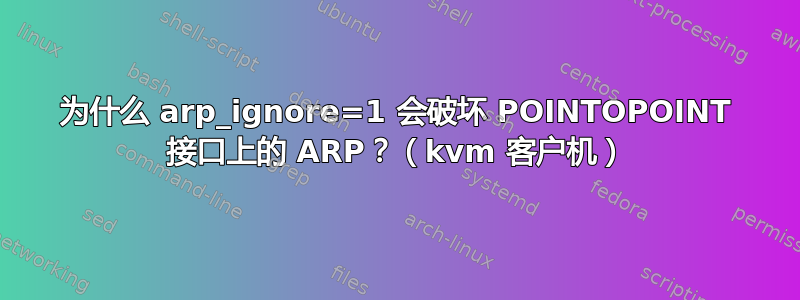 为什么 arp_ignore=1 会破坏 POINTOPOINT 接口上的 ARP？（kvm 客户机）