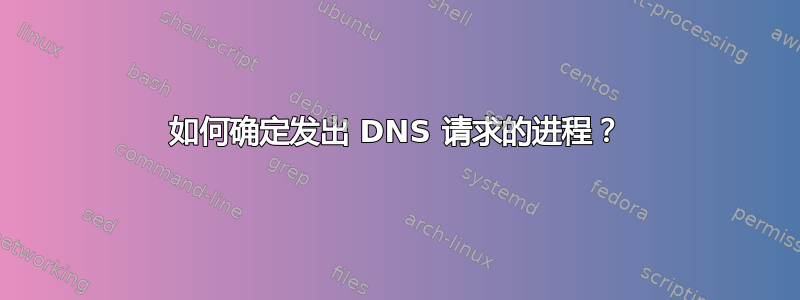 如何确定发出 DNS 请求的进程？