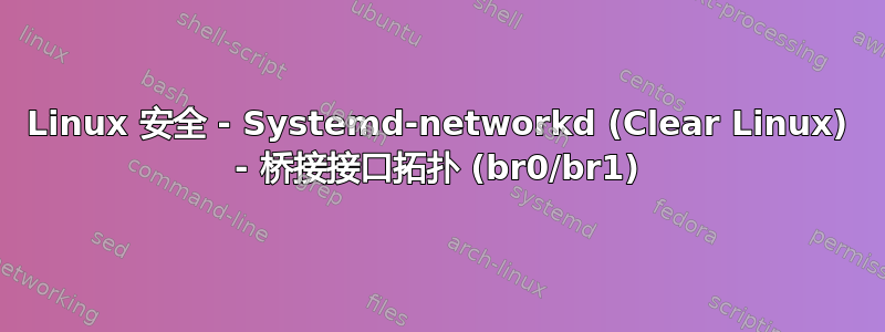 Linux 安全 - Systemd-networkd (Clear Linux) - 桥接接口拓扑 (br0/br1)