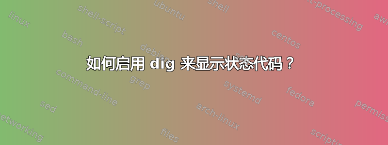 如何启用 dig 来显示状态代码？