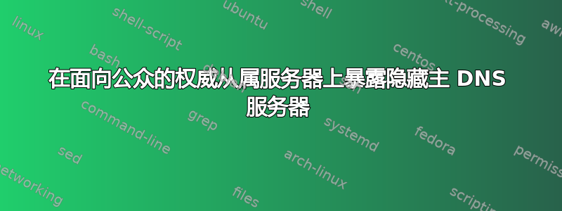 在面向公众的权威从属服务器上暴露隐藏主 DNS 服务器