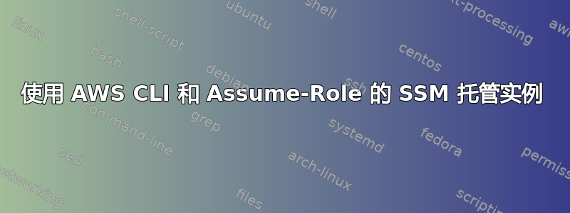 使用 AWS CLI 和 Assume-Role 的 SSM 托管实例