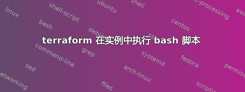 terraform 在实例中执行 bash 脚本