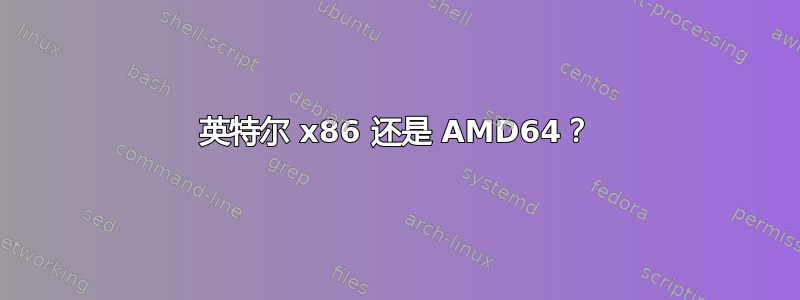 英特尔 x86 还是 AMD64？