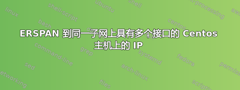 ERSPAN 到同一子网上具有多个接口的 Centos 主机上的 IP