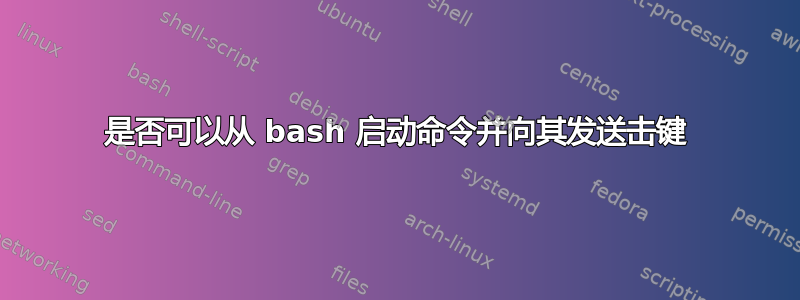 是否可以从 bash 启动命令并向其发送击键