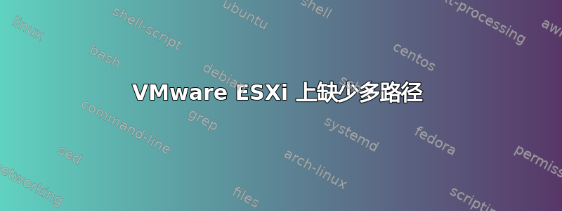 VMware ESXi 上缺少多路径