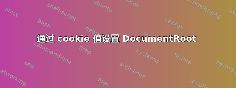 通过 cookie 值设置 DocumentRoot