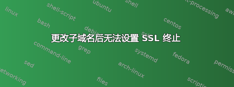 更改子域名后无法设置 SSL 终止