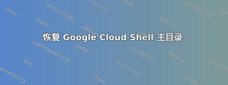 恢复 Google Cloud Shell 主目录