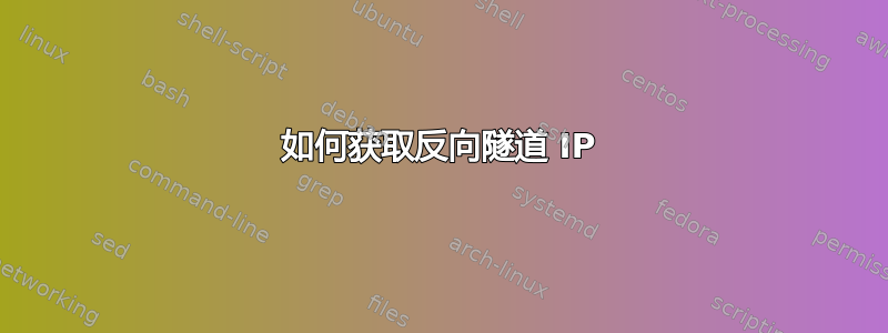 如何获取反向隧道 IP