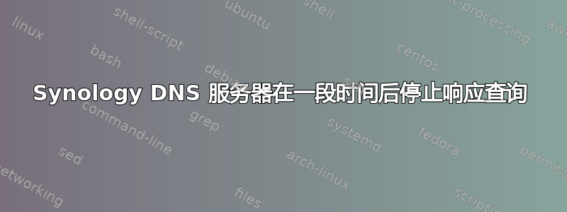 Synology DNS 服务器在一段时间后停止响应查询