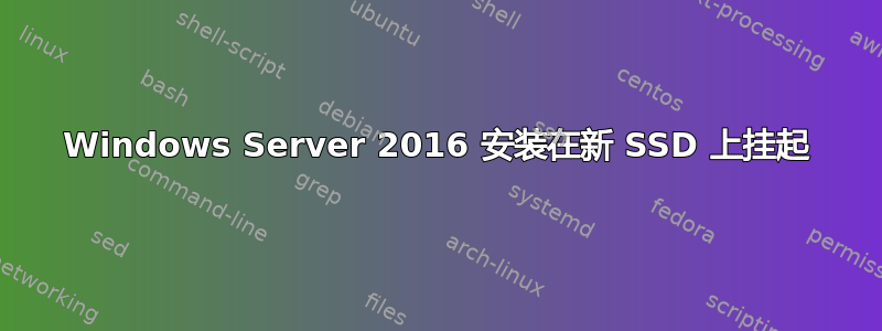 Windows Server 2016 安装在新 SSD 上挂起