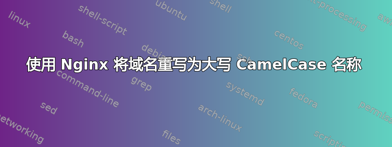 使用 Nginx 将域名重写为大写 CamelCase 名称