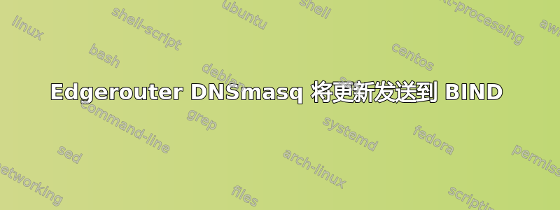 Edgerouter DNSmasq 将更新发送到 BIND