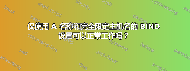 仅使用 A 名称和完全限定主机名的 BIND 设置可以正常工作吗？