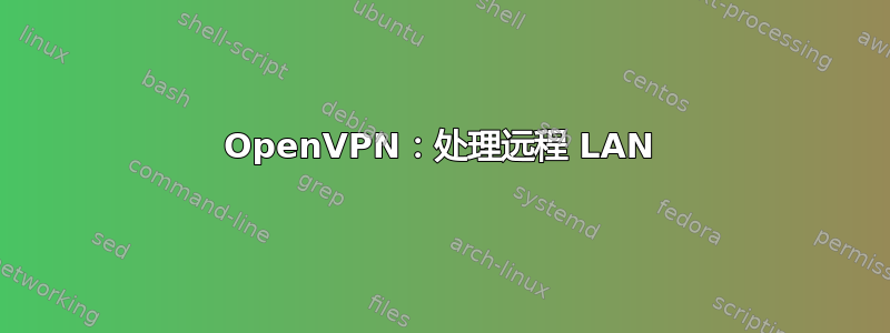 OpenVPN：处理远程 LAN