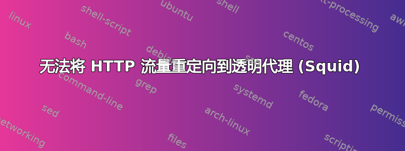 无法将 HTTP 流量重定向到透明代理 (Squid)