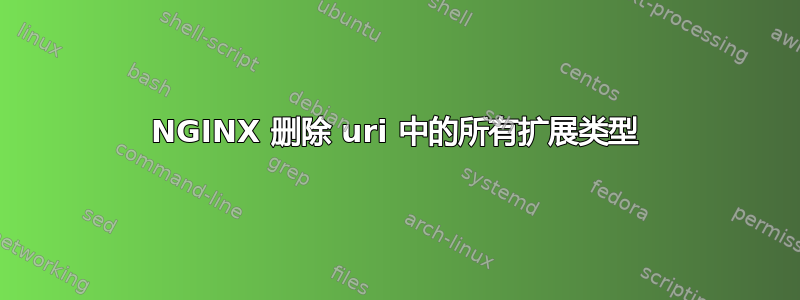 NGINX 删除 uri 中的所有扩展类型