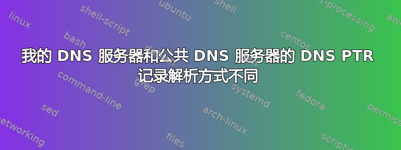 我的 DNS 服务器和公共 DNS 服务器的 DNS PTR 记录解析方式不同