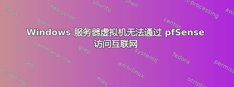 Windows 服务器虚拟机无法通过 pfSense 访问互联网