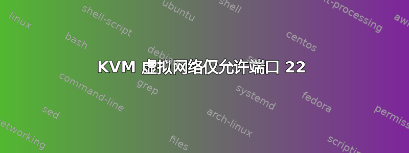 KVM 虚拟网络仅允许端口 22