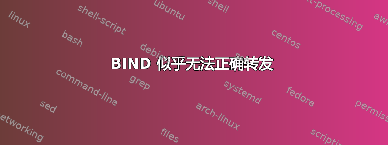 BIND 似乎无法正确转发