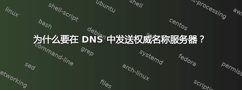 为什么要在 DNS 中发送权威名称服务器？
