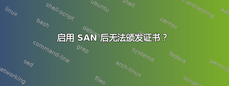 启用 SAN 后无法颁发证书？