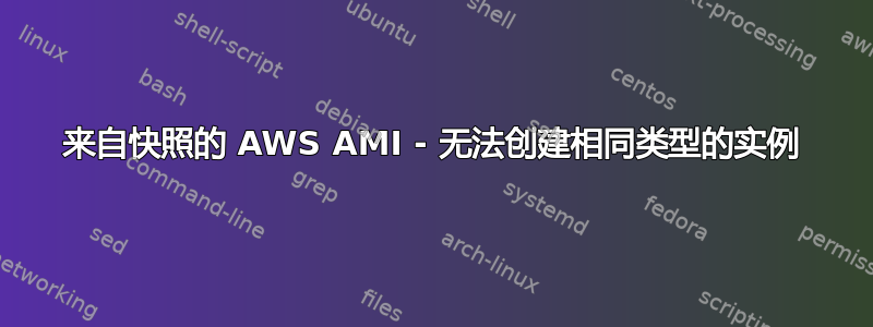来自快照的 AWS AMI - 无法创建相同类型的实例