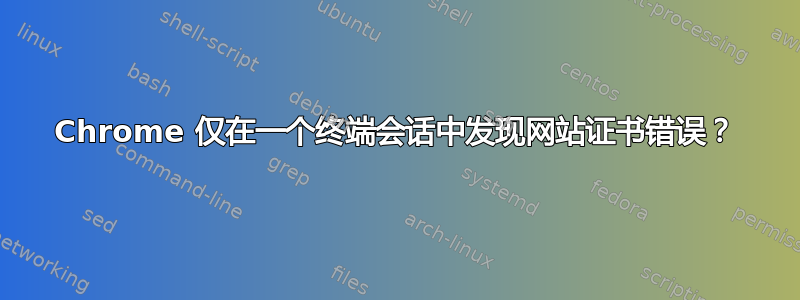 Chrome 仅在一个终端会话中发现网站证书错误？