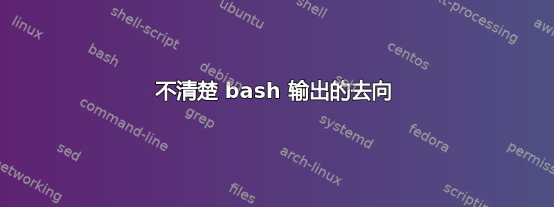 不清楚 bash 输出的去向