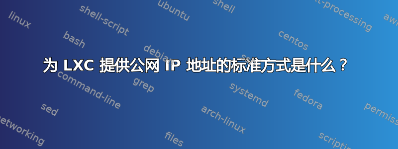 为 LXC 提供公网 IP 地址的标准方式是什么？