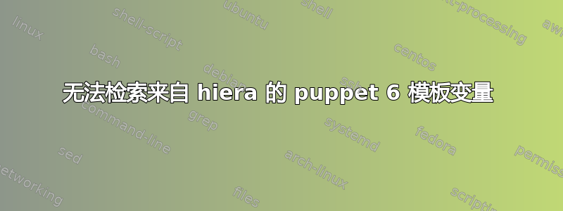 无法检索来自 hiera 的 puppet 6 模板变量