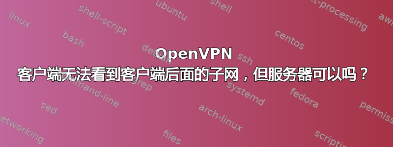 OpenVPN 客户端无法看到客户端后面的子网，但服务器可以吗？