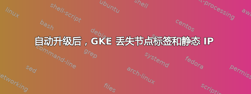 自动升级后，GKE 丢失节点标签和静态 IP