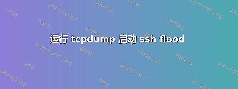 运行 tcpdump 启动 ssh flood