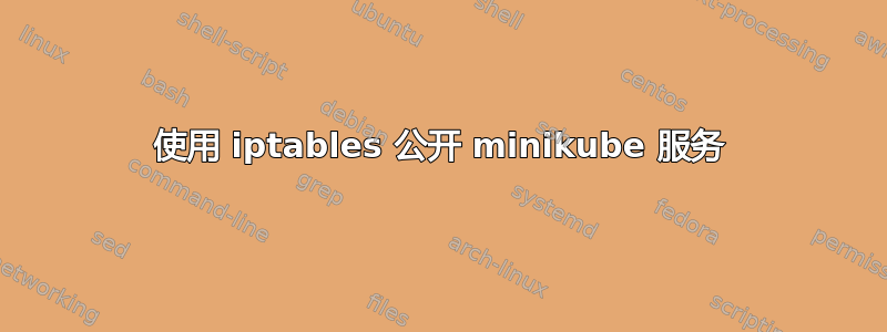 使用 iptables 公开 minikube 服务