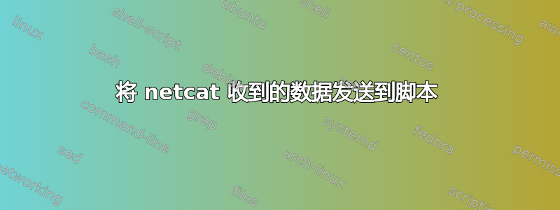 将 netcat 收到的数据发送到脚本