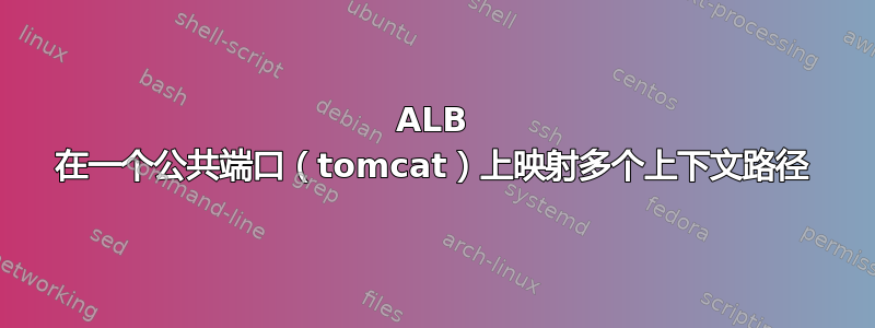 ALB 在一个公共端口（tomcat）上映射多个上下文路径