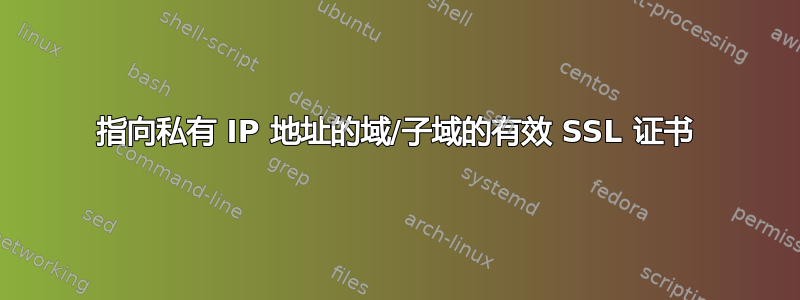 指向私有 IP 地址的域/子域的有效 SSL 证书