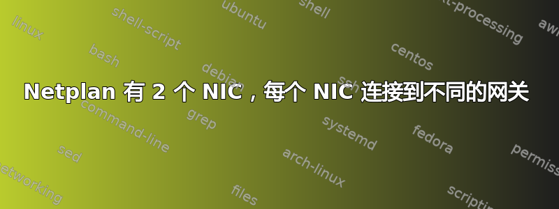 Netplan 有 2 个 NIC，每个 NIC 连接到不同的网关