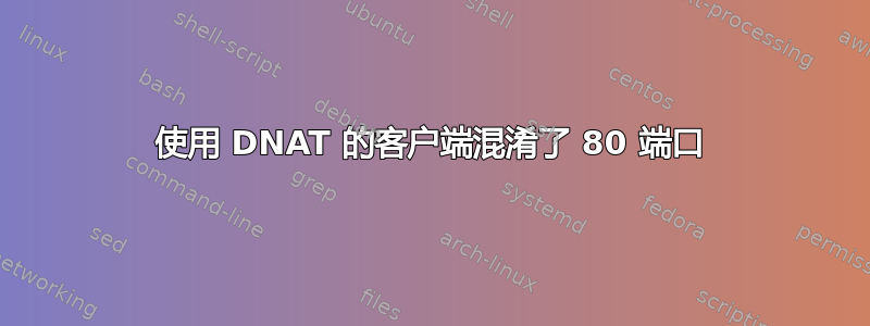 使用 DNAT 的客户端混淆了 80 端口