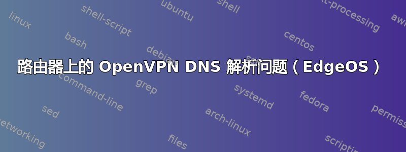 路由器上的 OpenVPN DNS 解析问题（EdgeOS）