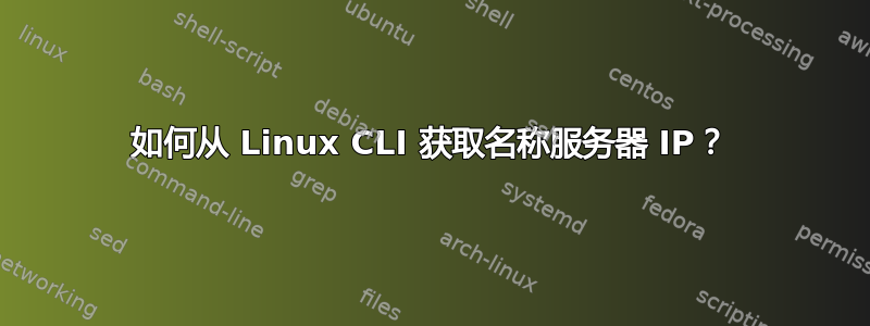 如何从 Linux CLI 获取名称服务器 IP？