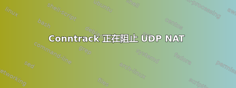 Conntrack 正在阻止 UDP NAT